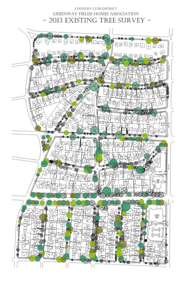 Tree Census